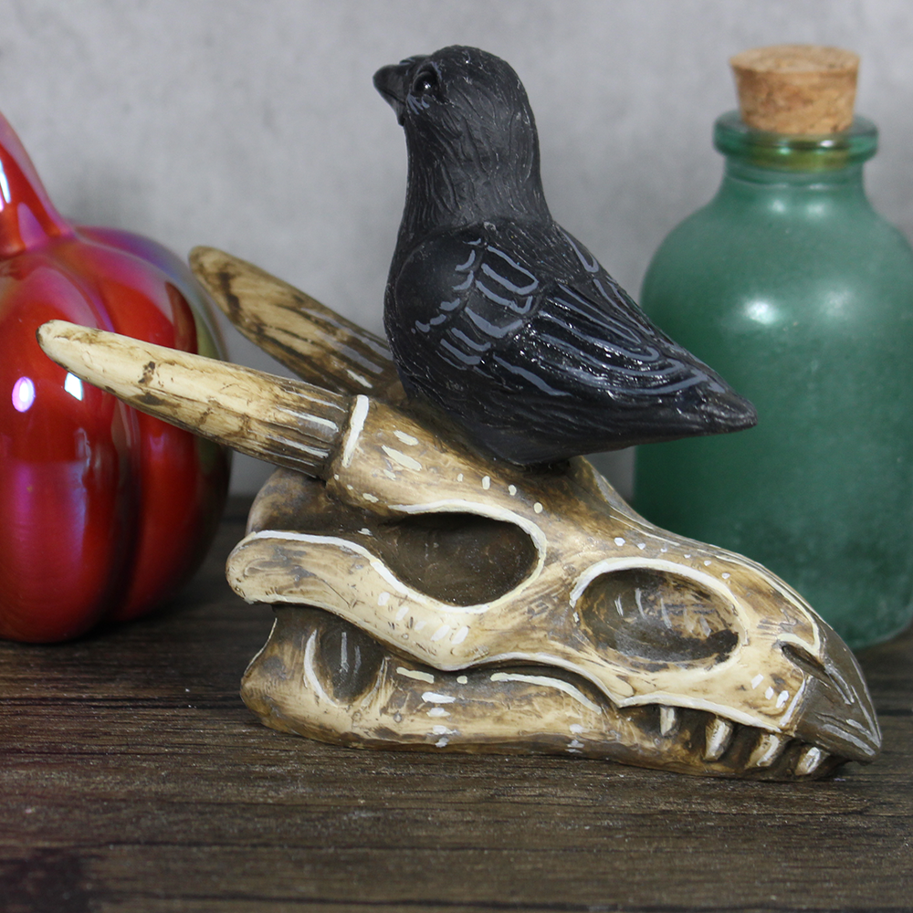 Skull Crow