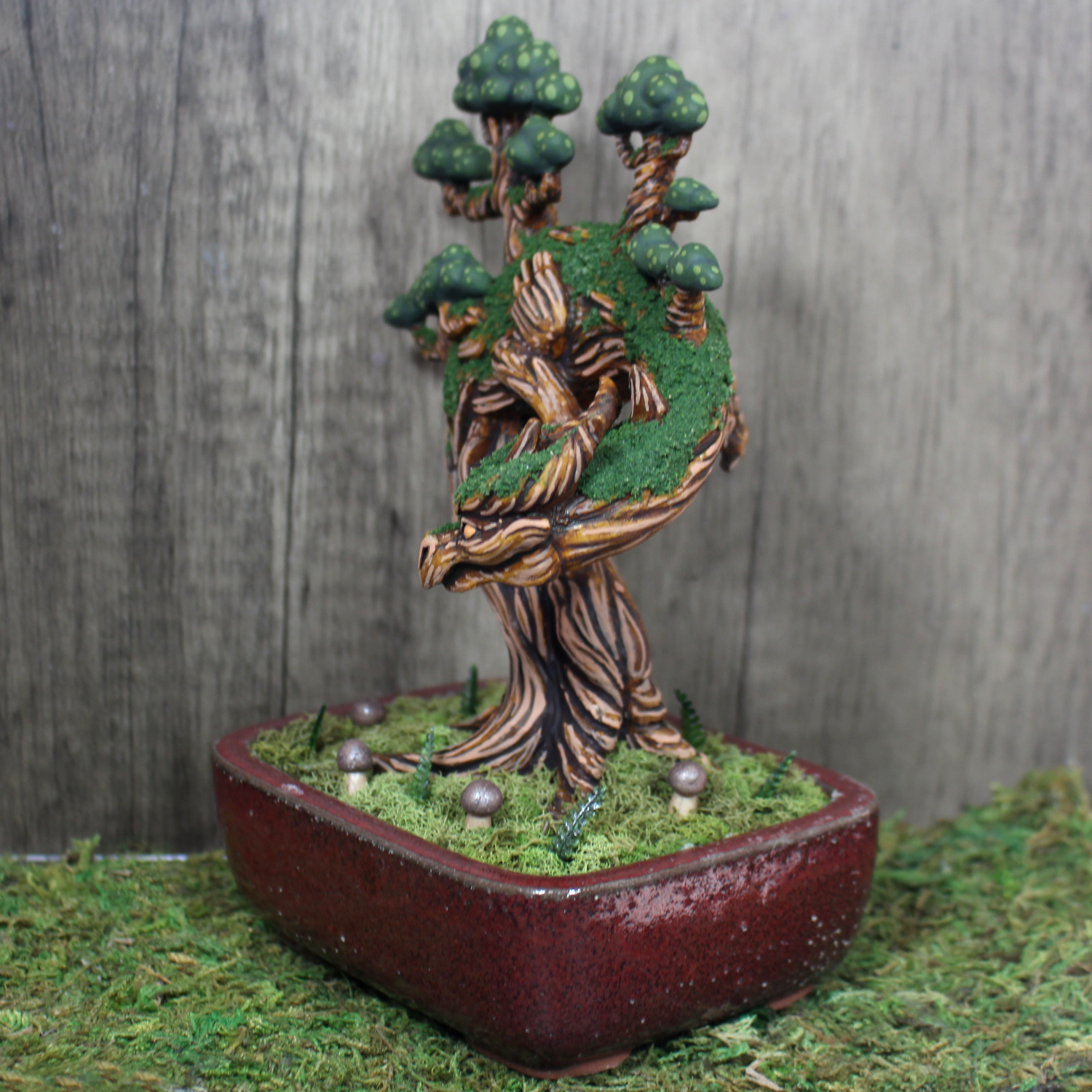 Grand Arbori Bonsai