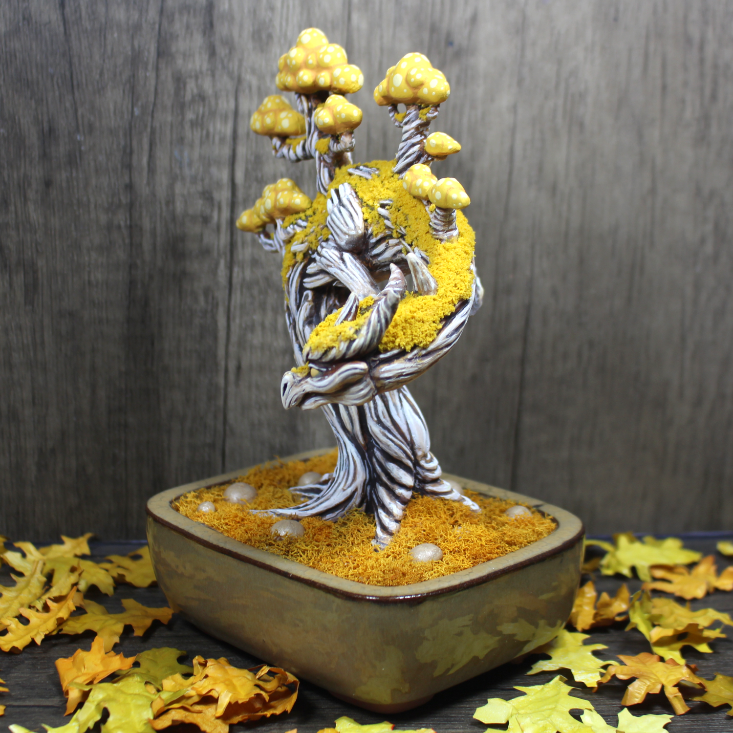 Seasonal Arbori Bonsai