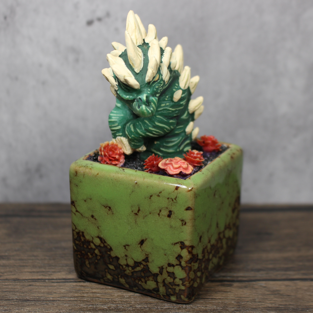 Arbori Cactus