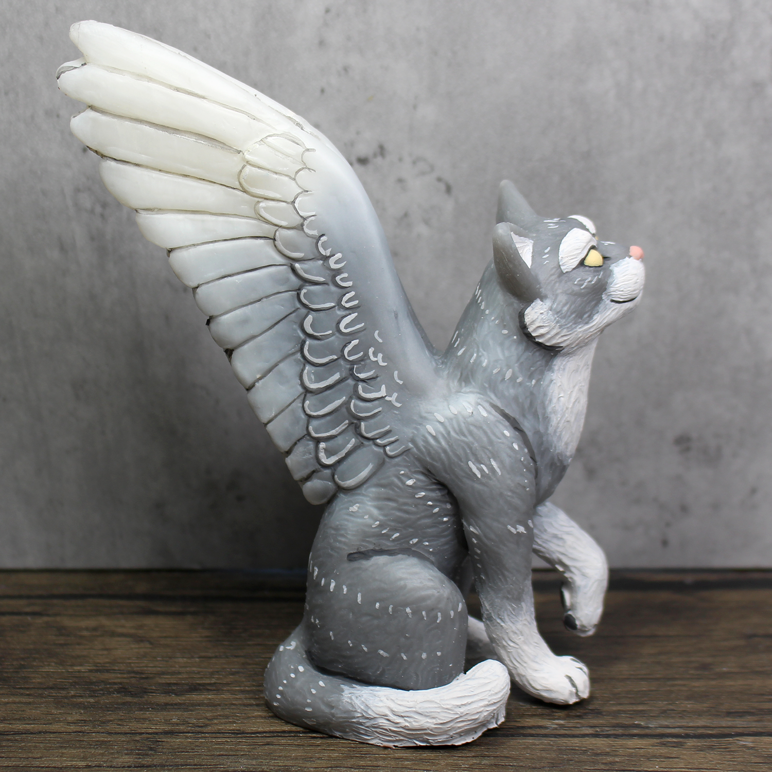 Custom Sky Cat