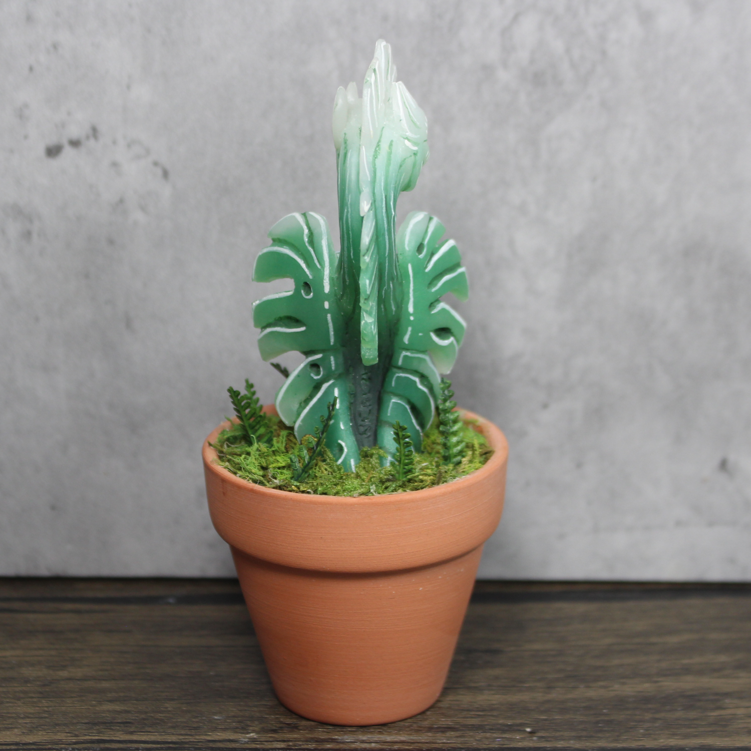 Arbori Monstera