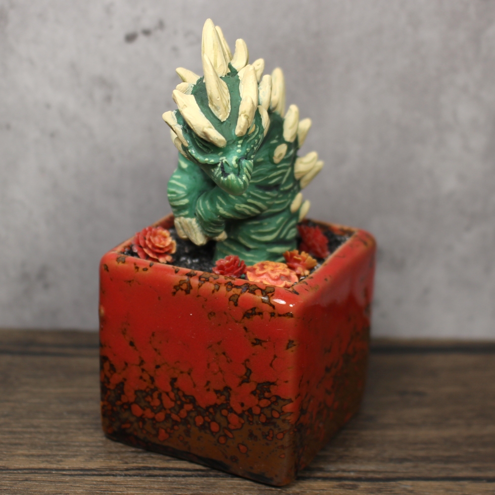 Arbori Cactus