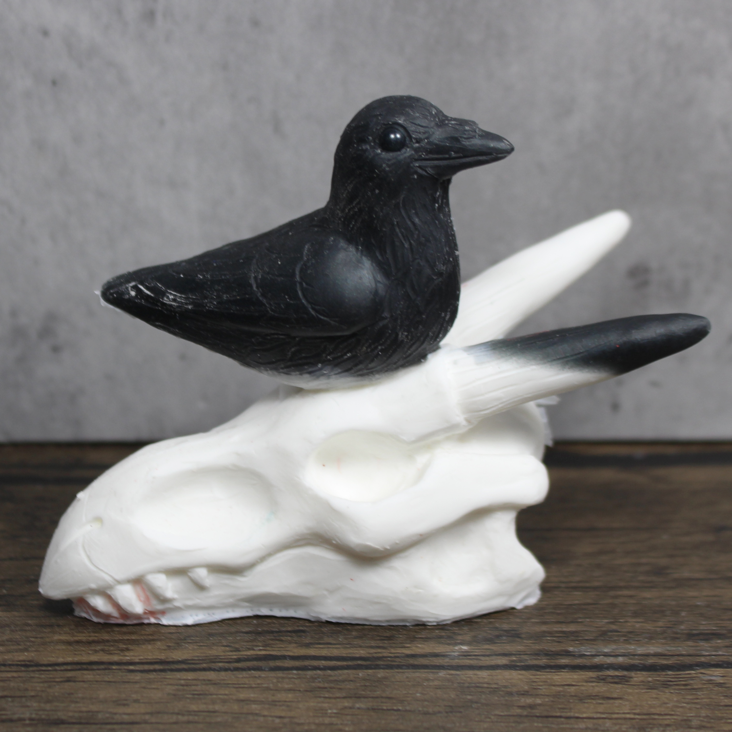 Raw Skull Crow