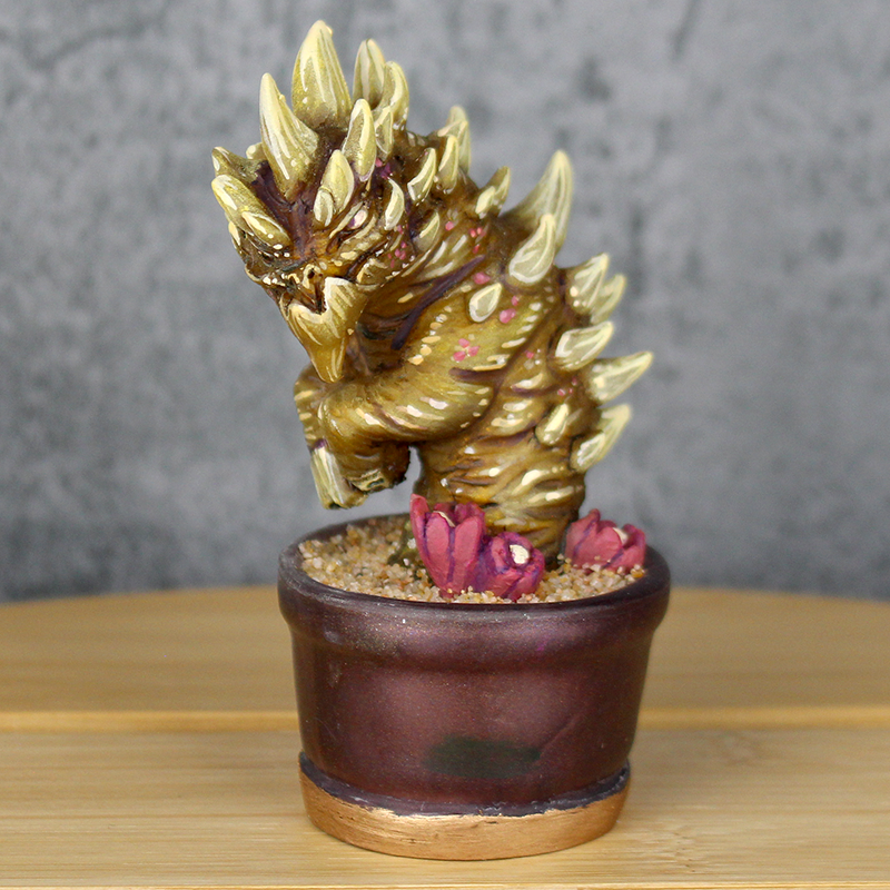 Arbori Cactus